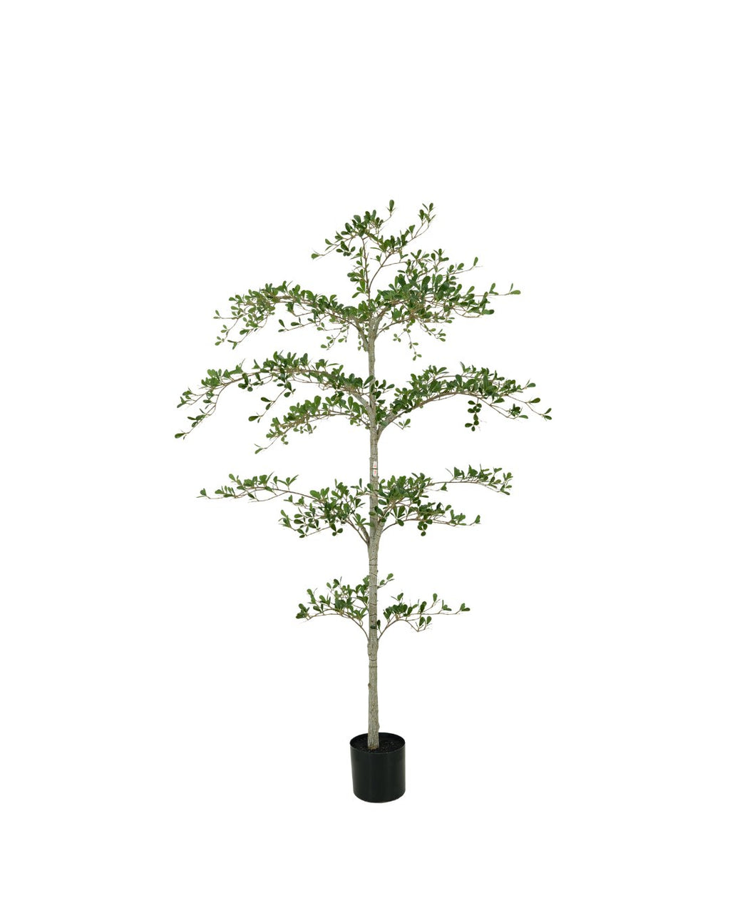 Zijden Zwarte Olijfboom 180cm