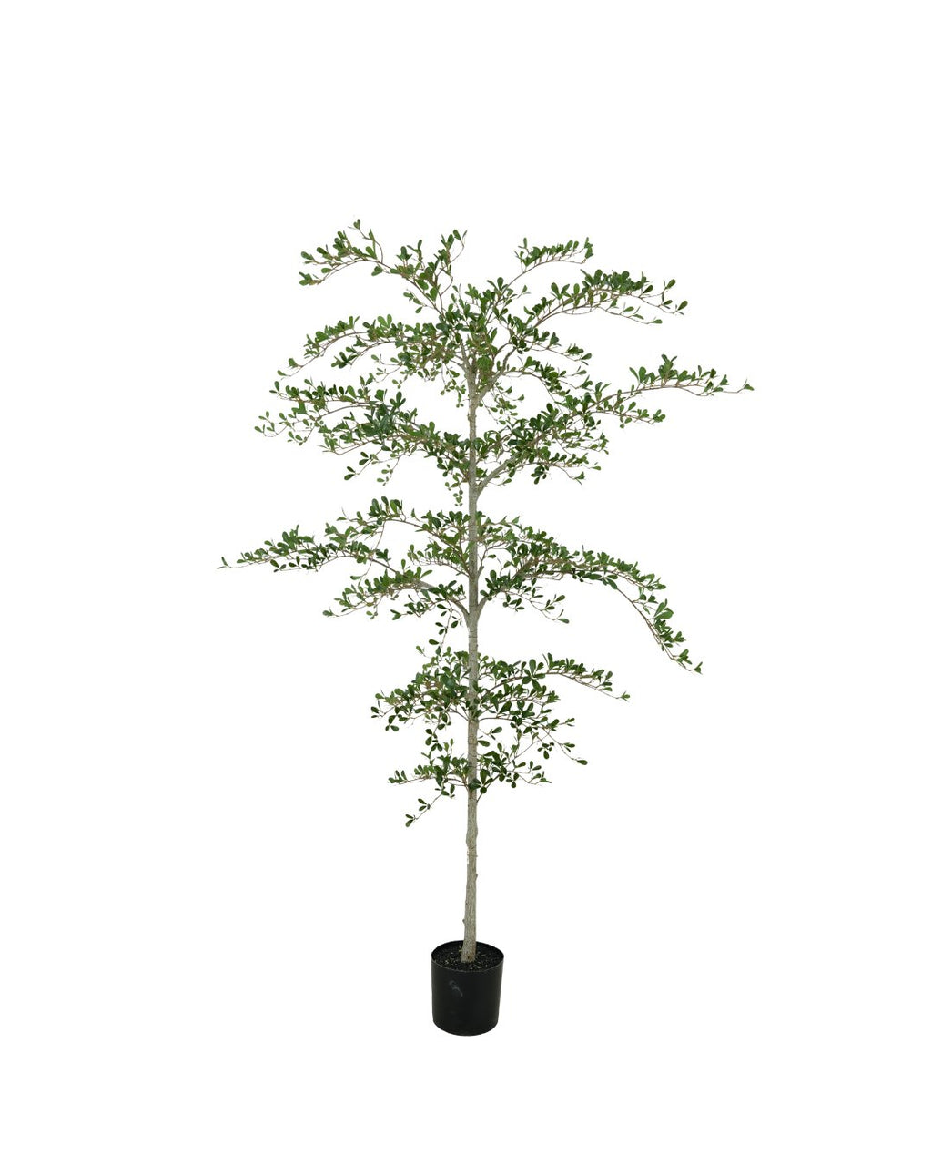 Zijden Zwarte Olijfboom 210cm